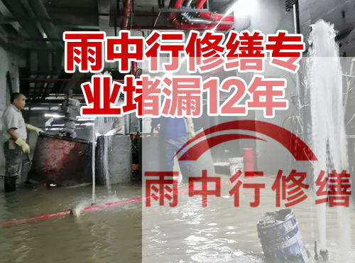 承德中国五矿某大型污水处理厂堵漏案例